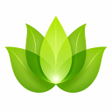 Icono de programa: Mental Wellness: BetterMi…