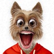 Icon of program: Toppy - My Talking Animal…