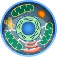 Icon of program: Cell World