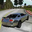 Icon of program: Sport Car Driving Simulat…