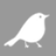 Icono de programa: Warbler for Windows 8