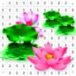 Icon of program: Lotus Color By Number - P…