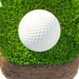 Icon of program: Golf Identity - First Gol…