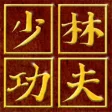 Icon of program: Siu Lam Wing Chun Organis…