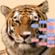 Icono del programa: PedScope (64-Bit)