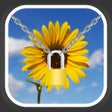 Icon of program: Photo & Video Locker - Hi…