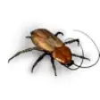 Icon of program: Pandora's Pests