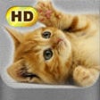 Icon of program: Cute Pics