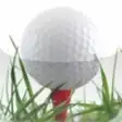 Icon of program: Daily Golf