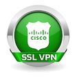 Icono de programa: SSL VPN FREE