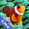 Icon of program: Colorful Aquarium for iPa…