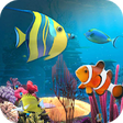Icono de programa: Aquarium Fish Live Wallpa…