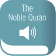 Icon of program: Quran4you - The Noble Qur…