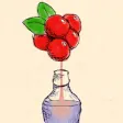 Icon of program: BerryMaker  DNA soda fact…