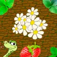Icon of program: Strawberry Farm