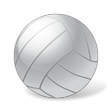Icon of program: Volleyball Roster Assista…