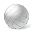 Icon of program: Volleyball Roster Assista…