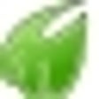 Icono de programa: Midori for Linux