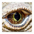 Icono de programa: Komodo 10 Chess Engine