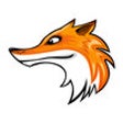Icon of program: phpFoxer App