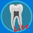 Icon of program: Dental Corpus ANATOMY lit…