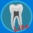 Icon of program: Dental Corpus ANATOMY lit…