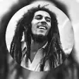 Icon of program: Bob Marley Quotes