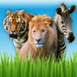 Icon of program: Zoo Sounds - Fun Educatio…