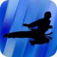 Icon of program: Taekwondo Kicks Videos - …