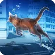 Icon of program: Floating Underwater Cat F…
