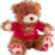 Nanny Cam icon