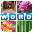 Icon of program: Guess One Word