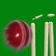 Icon of program: Test Cricket Grounds