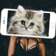 Icon of program: Animal Face Scanner Simul…