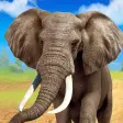Icon of program: Talking Elephant