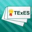Icon of program: TEXES Flashcards