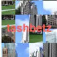 Icon of program: tashbetz