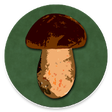 Icono de programa: Book of Mushrooms