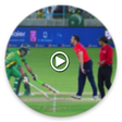 Icono de programa: Funny Cricket Videos 2017
