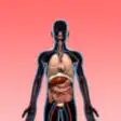 Icon of program: Anatomy Quiz - Human Body