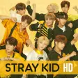 Icon of program: Stray Kids Live Wallpaper