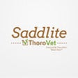Icon of program: Saddlite V2 SS
