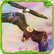 Icono de programa: Eagle Racing Simulator: A…