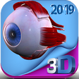 Icono de programa: Human eye anatomy 3D