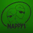 Icon of program: Nappys