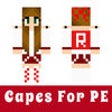 Icon of program: Cape Skins For Minecraft …