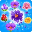 Icon of program: Blossom Crush Jelly - Awe…
