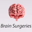 Icon of program: Brain Surgeries: Brain Tu…