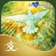 Icono de programa: Gaia Oracle - Toni C. Sal…