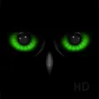 Icon of program: Night Eyes - Low Light Ca…